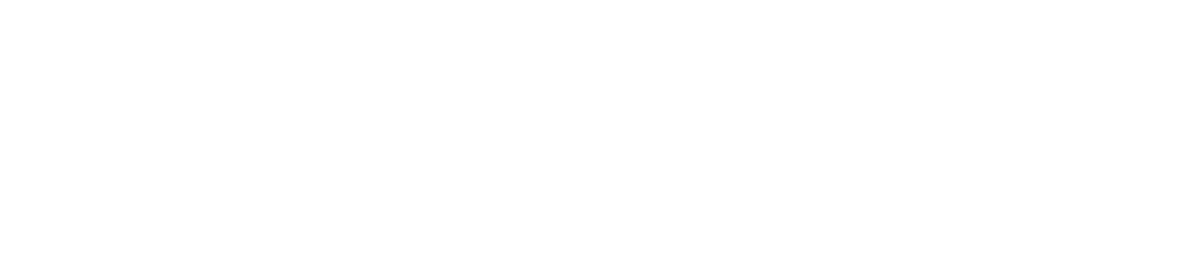 BoConcept-Logo White